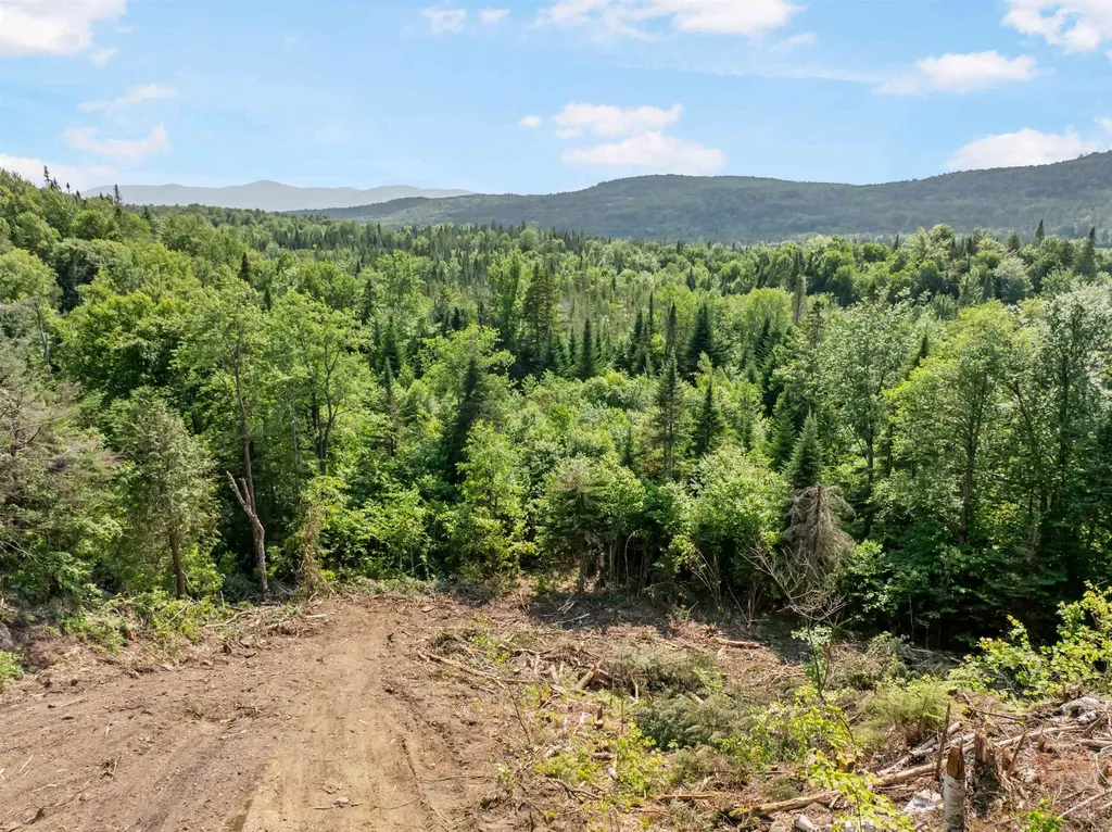 Lot 1 Heath Road Stewartstown NH 03576