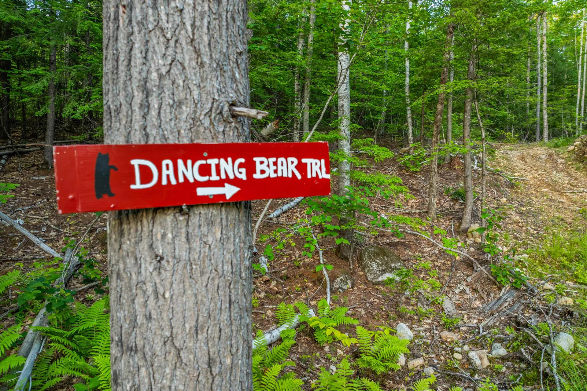 154 Rock Farm Lane Madison NH 03849