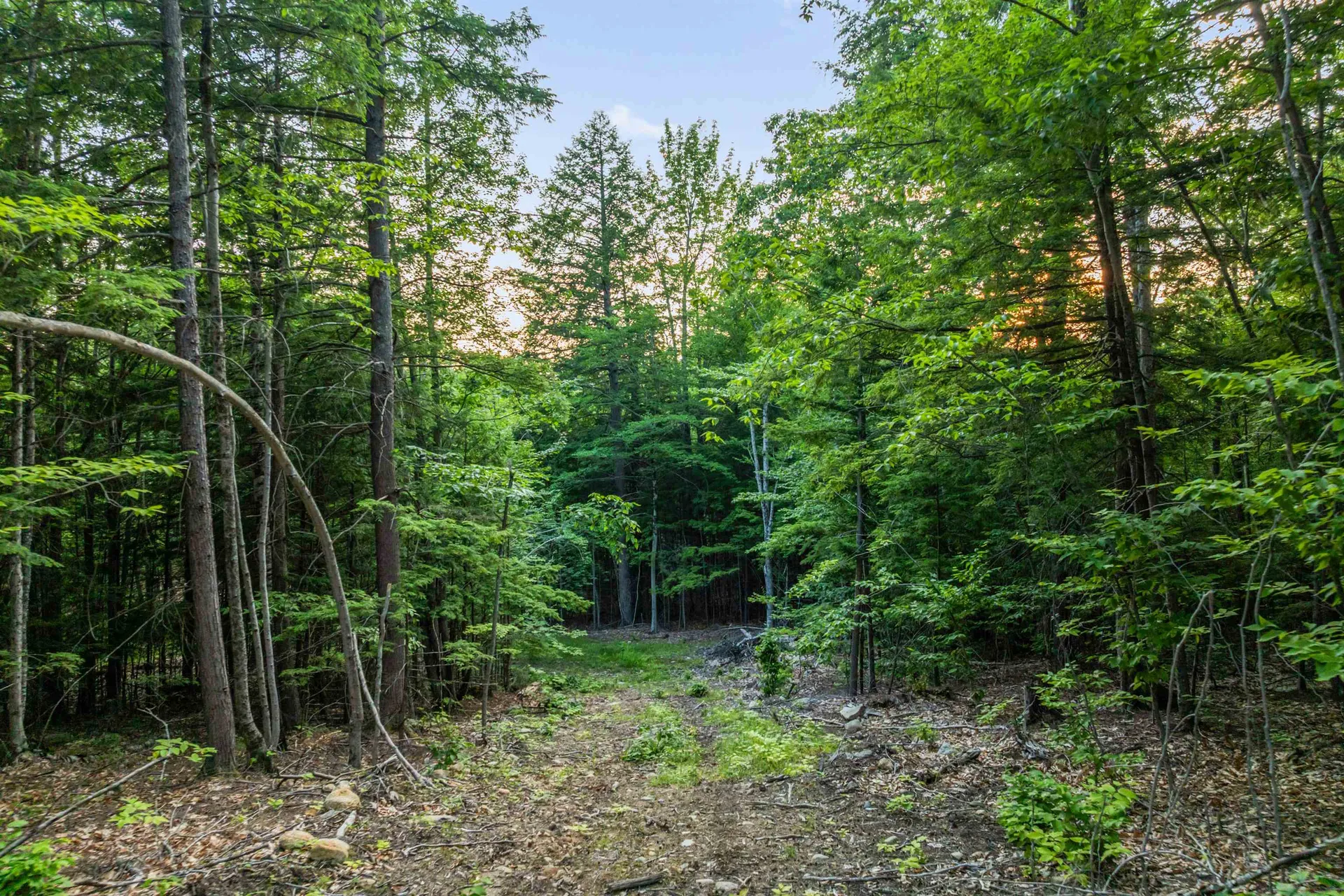 154 Rock Farm Lane Madison NH 03849