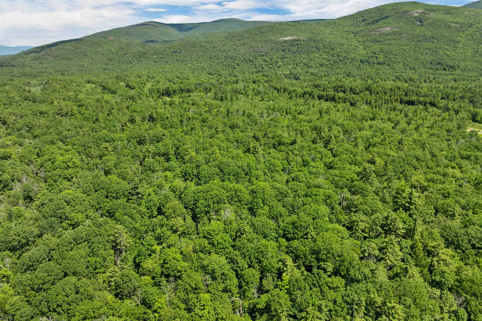 00 Gov Wentworth Highway Moultonborough NH 03254