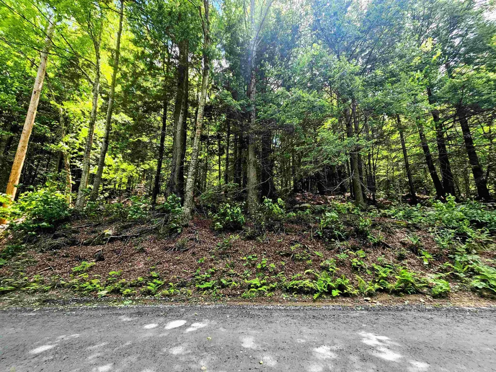 Smead Road Wardsboro VT 05355