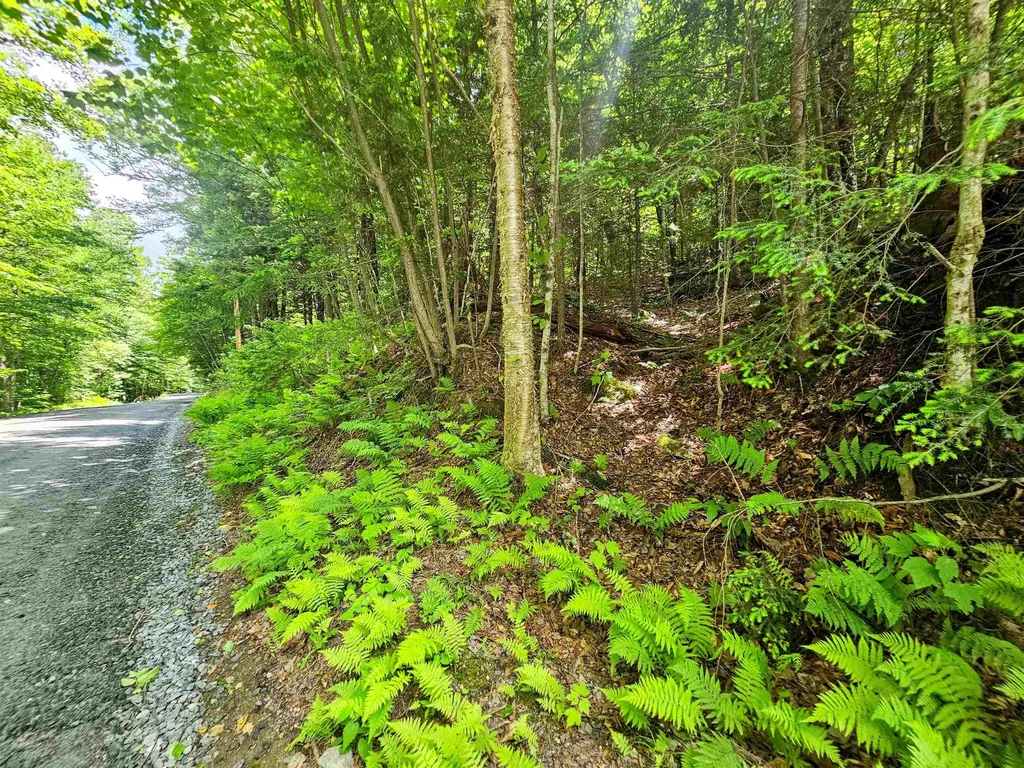 Smead Road Wardsboro VT 05355