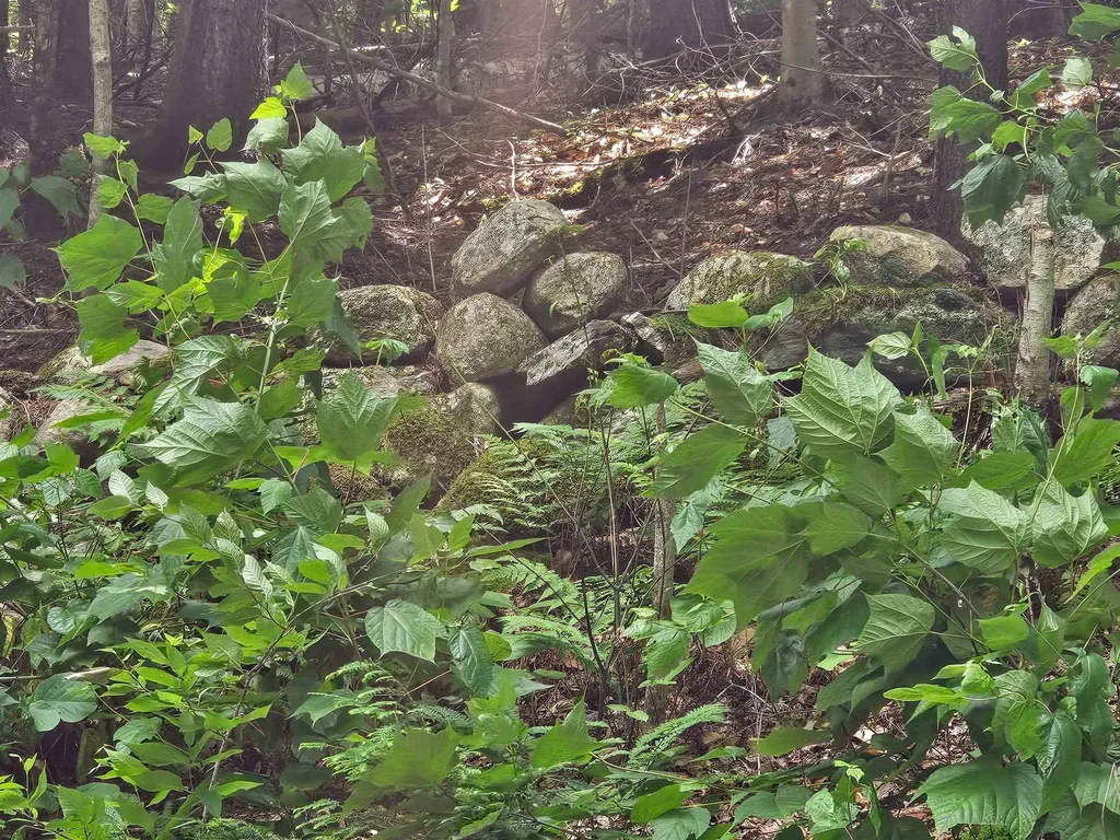 Smead Road Wardsboro VT 05355