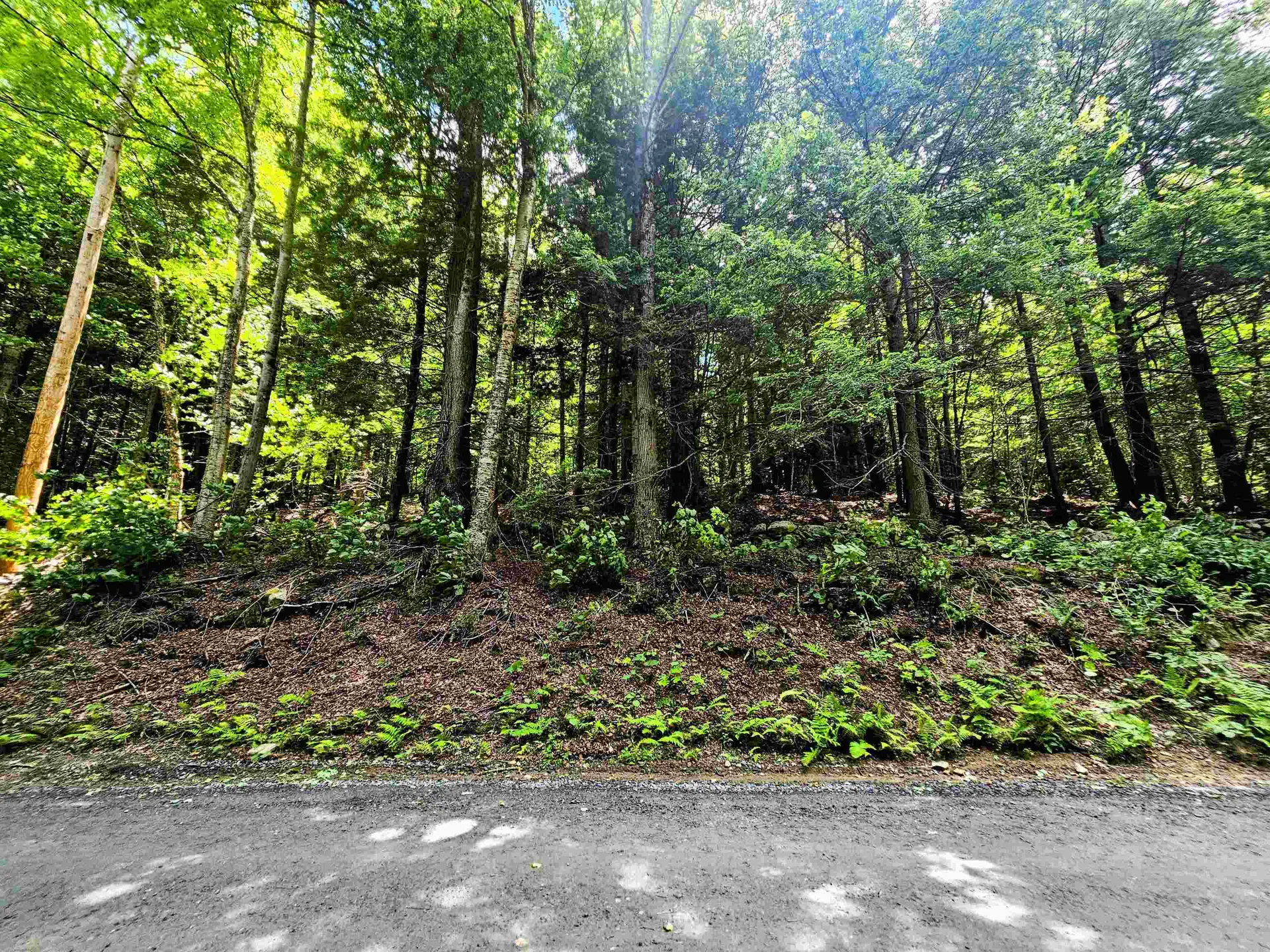 Smead Road Wardsboro VT 05355
