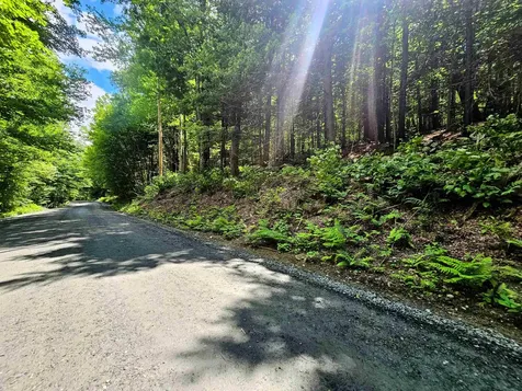Smead Road Wardsboro VT 05355