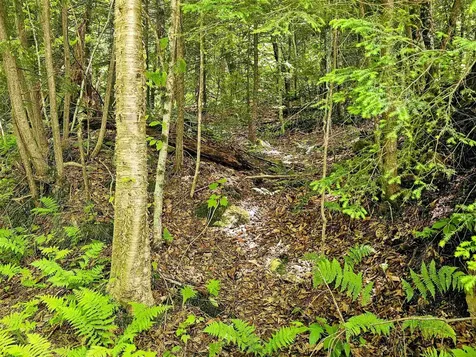 Smead Road Wardsboro VT 05355