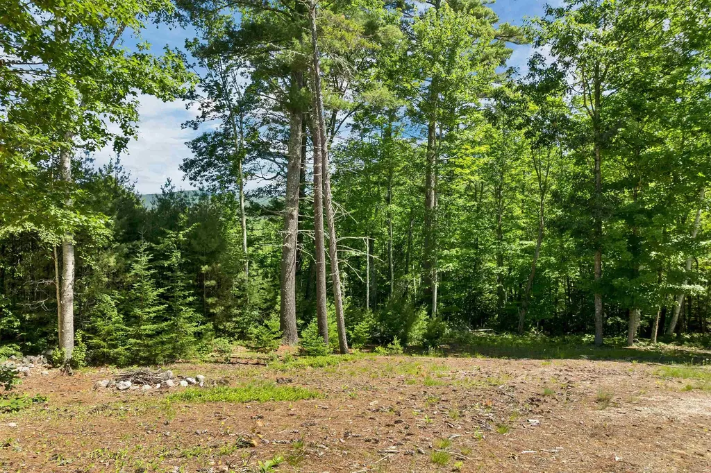 00 Beaver Pond Road Moultonborough NH 03254