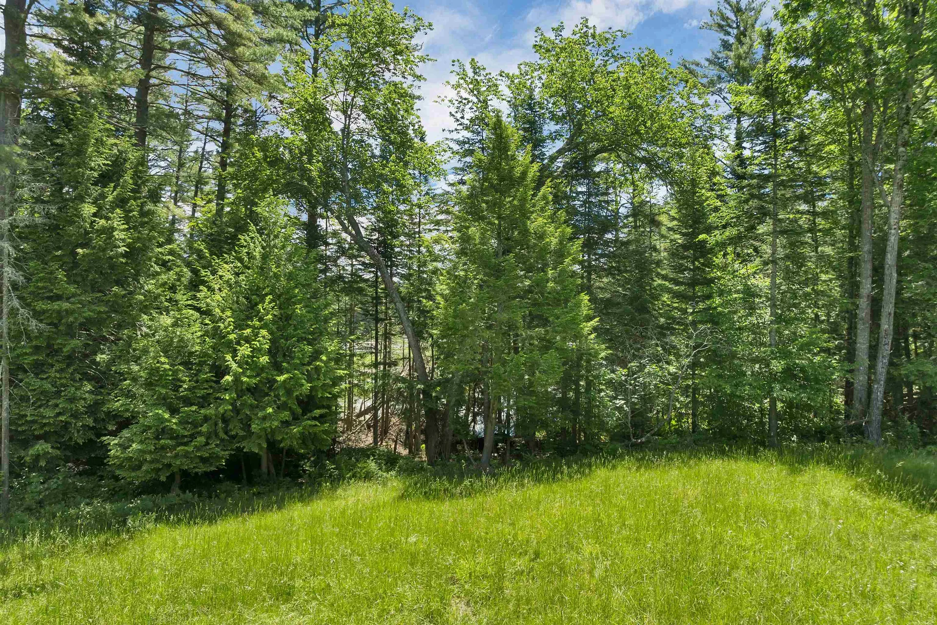 00 Beaver Pond Road Moultonborough NH 03254