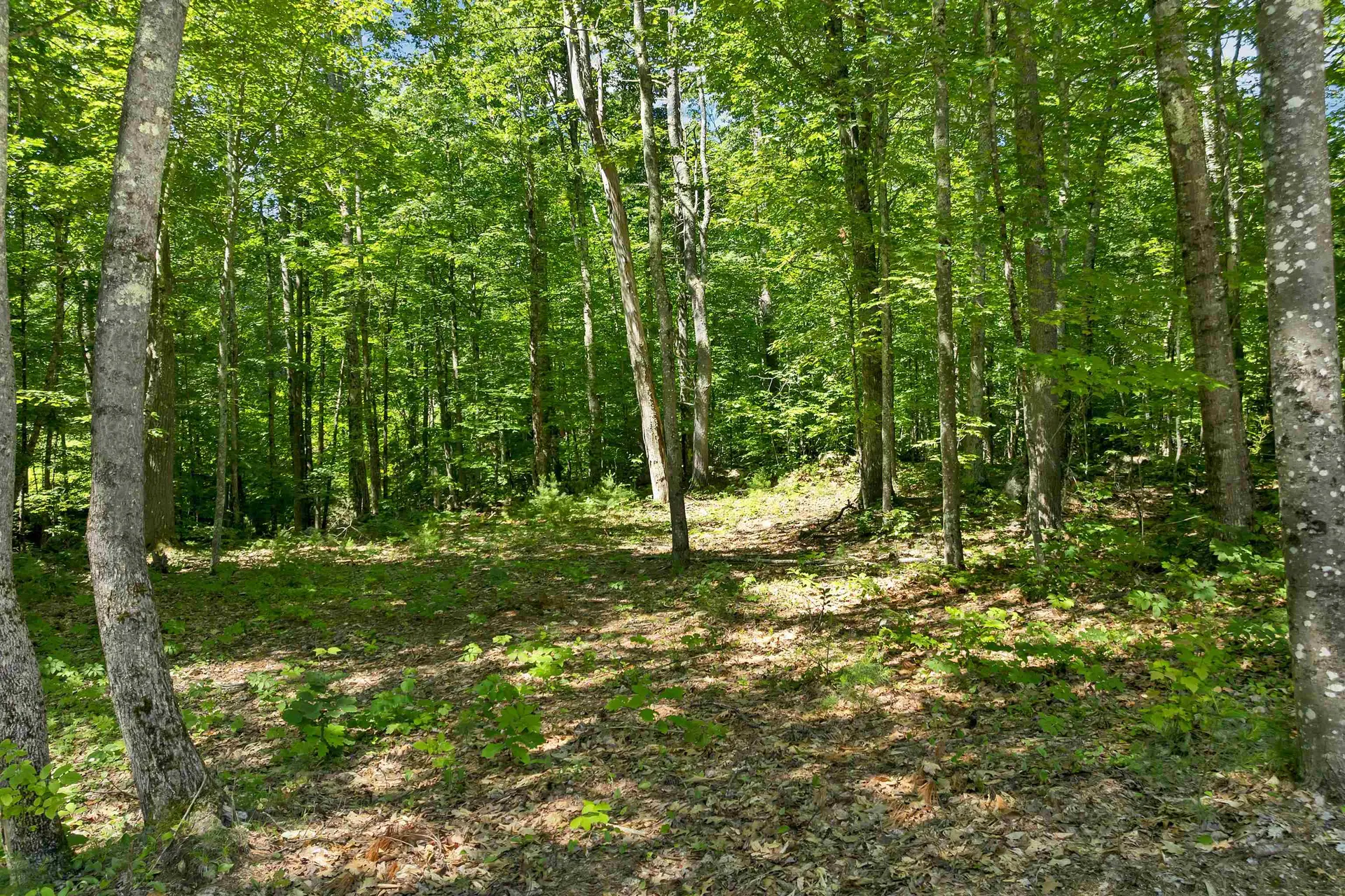 00 Beaver Pond Road Moultonborough NH 03254