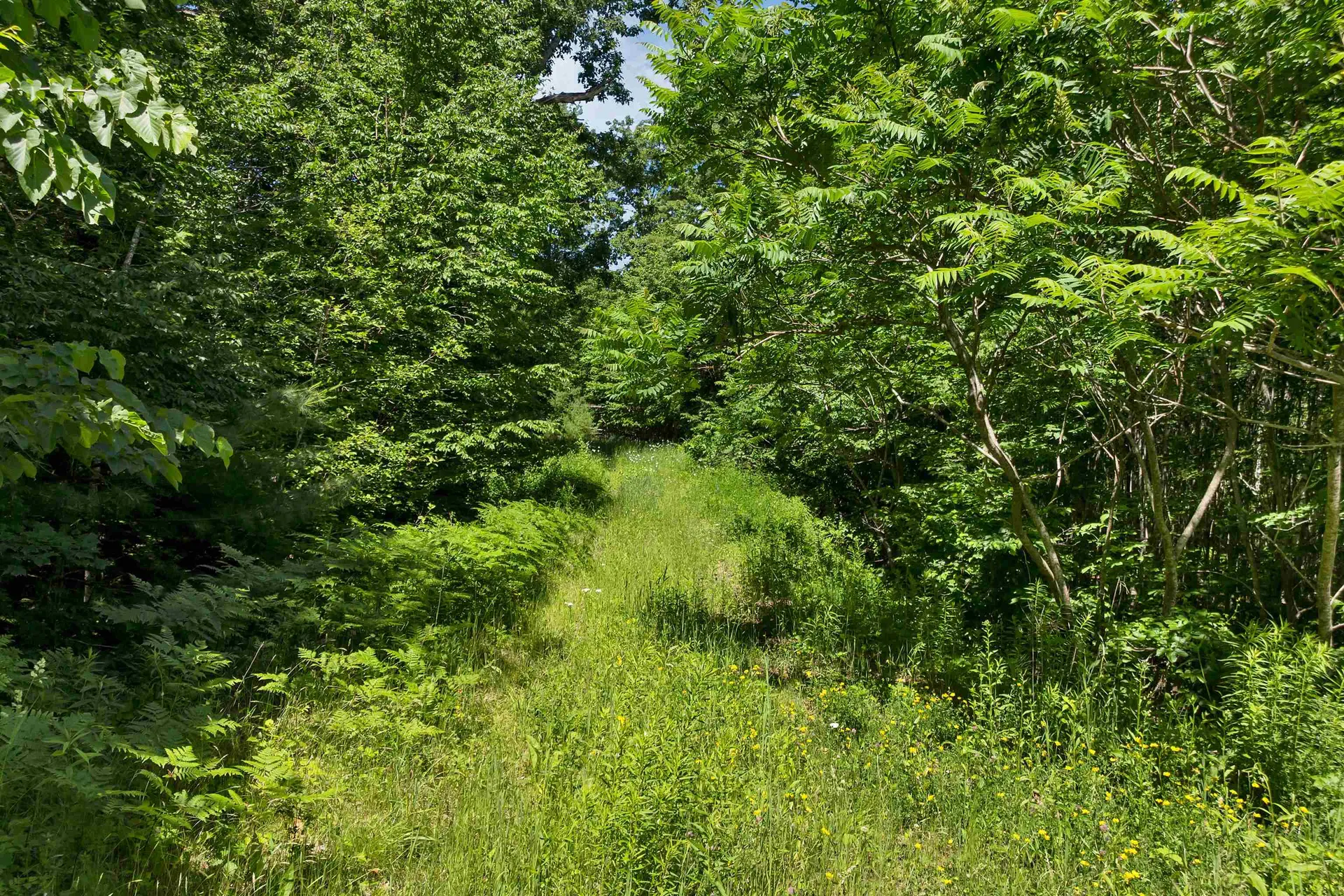 00 Beaver Pond Road Moultonborough NH 03254