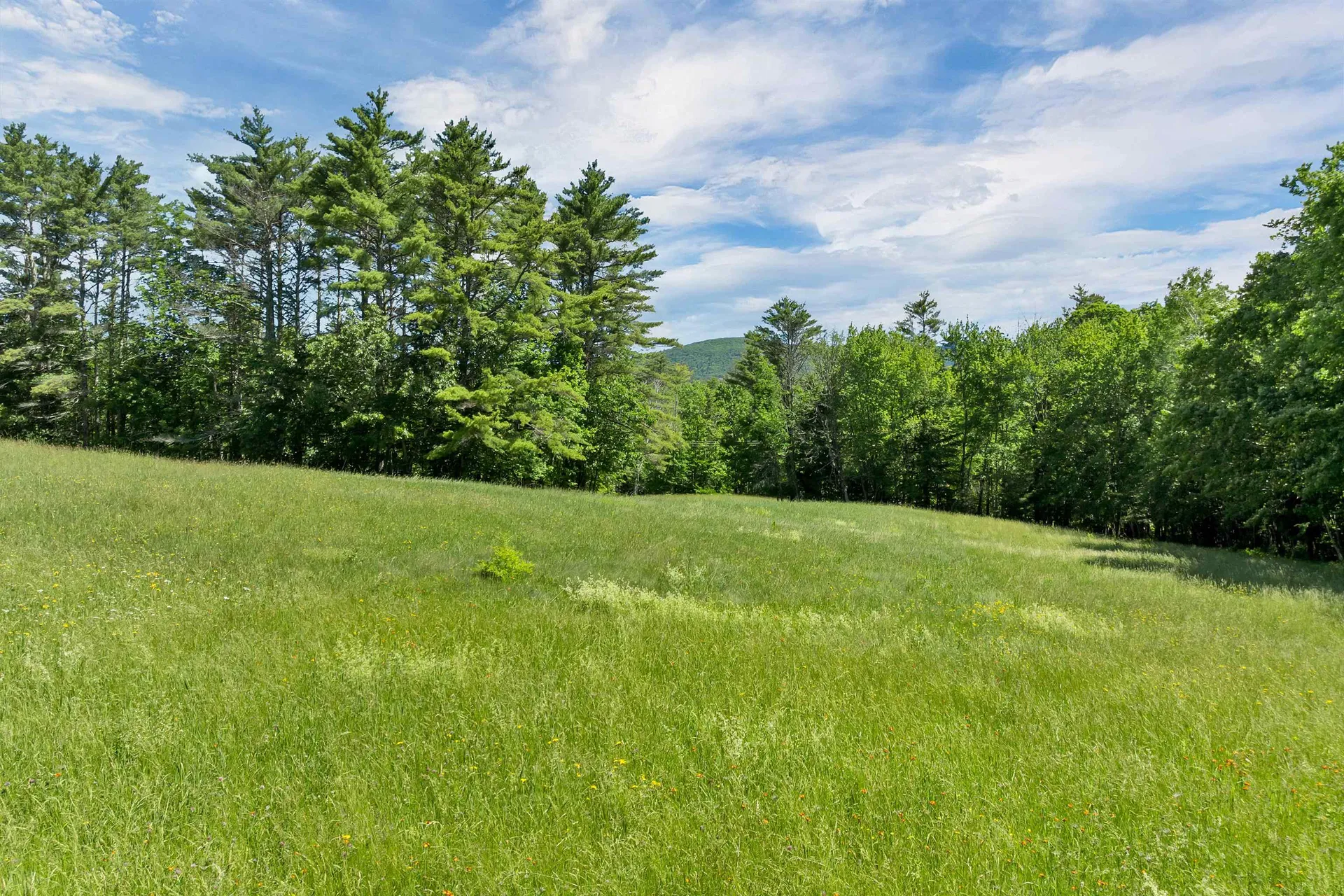 00 Beaver Pond Road Moultonborough NH 03254