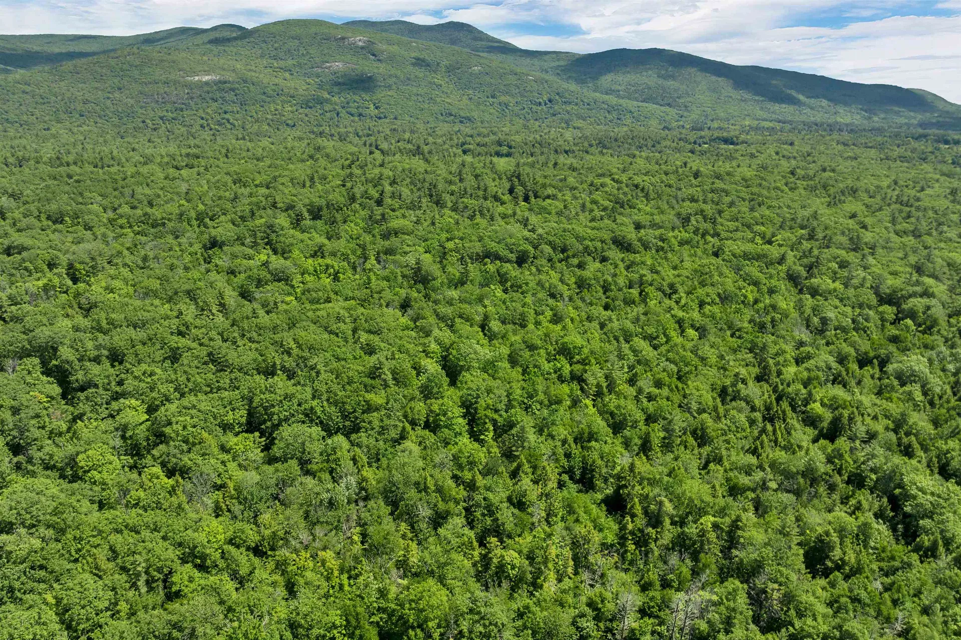 00 Beaver Pond Road Moultonborough NH 03254