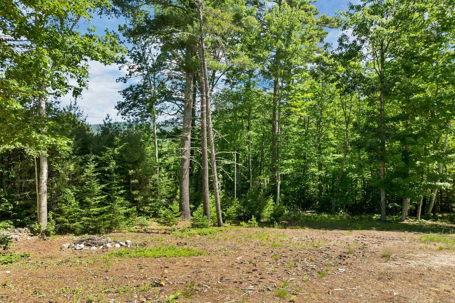 41 Beaver Pond Road Moultonborough NH 03254