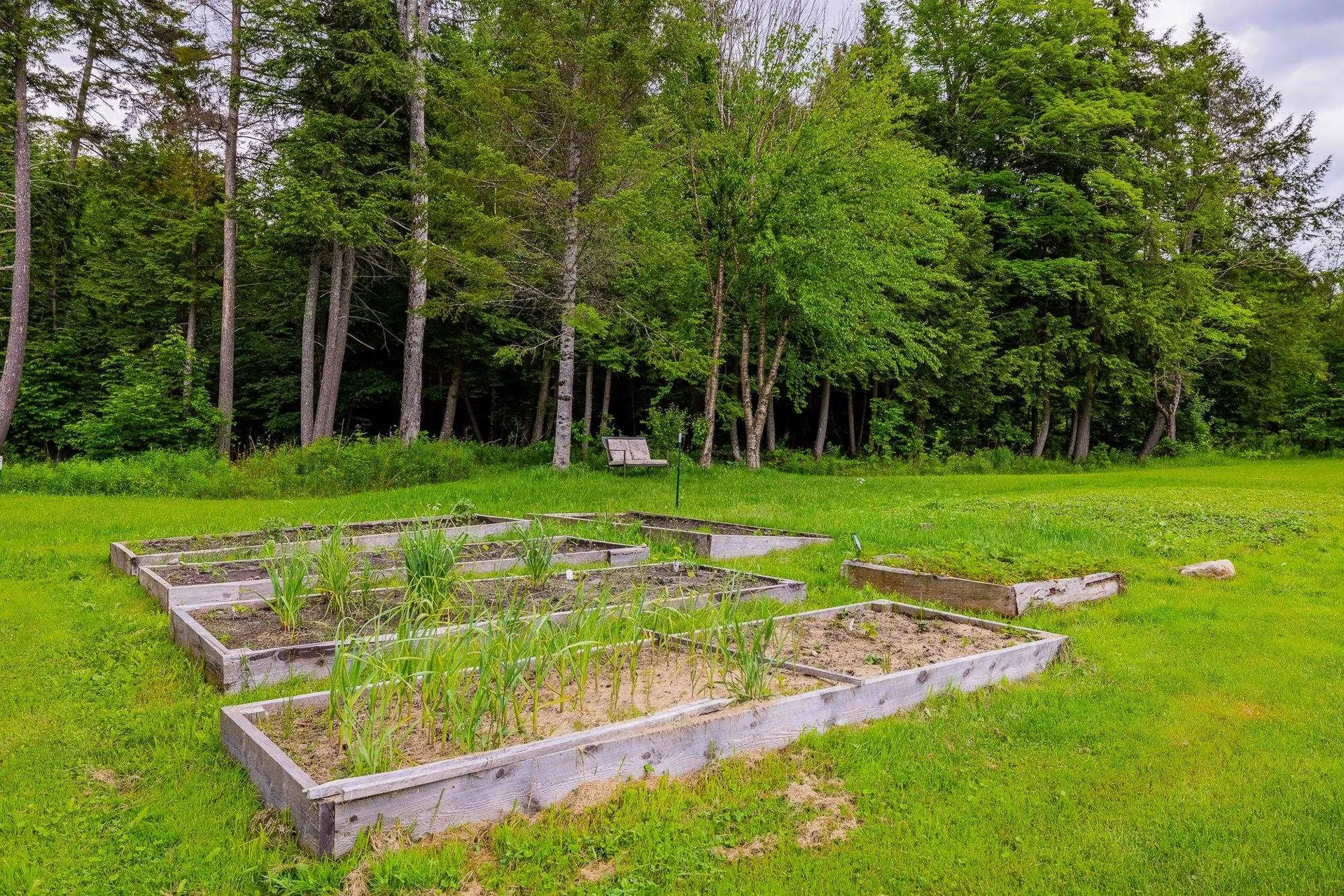 154 Dickey Road Newbury VT 05086