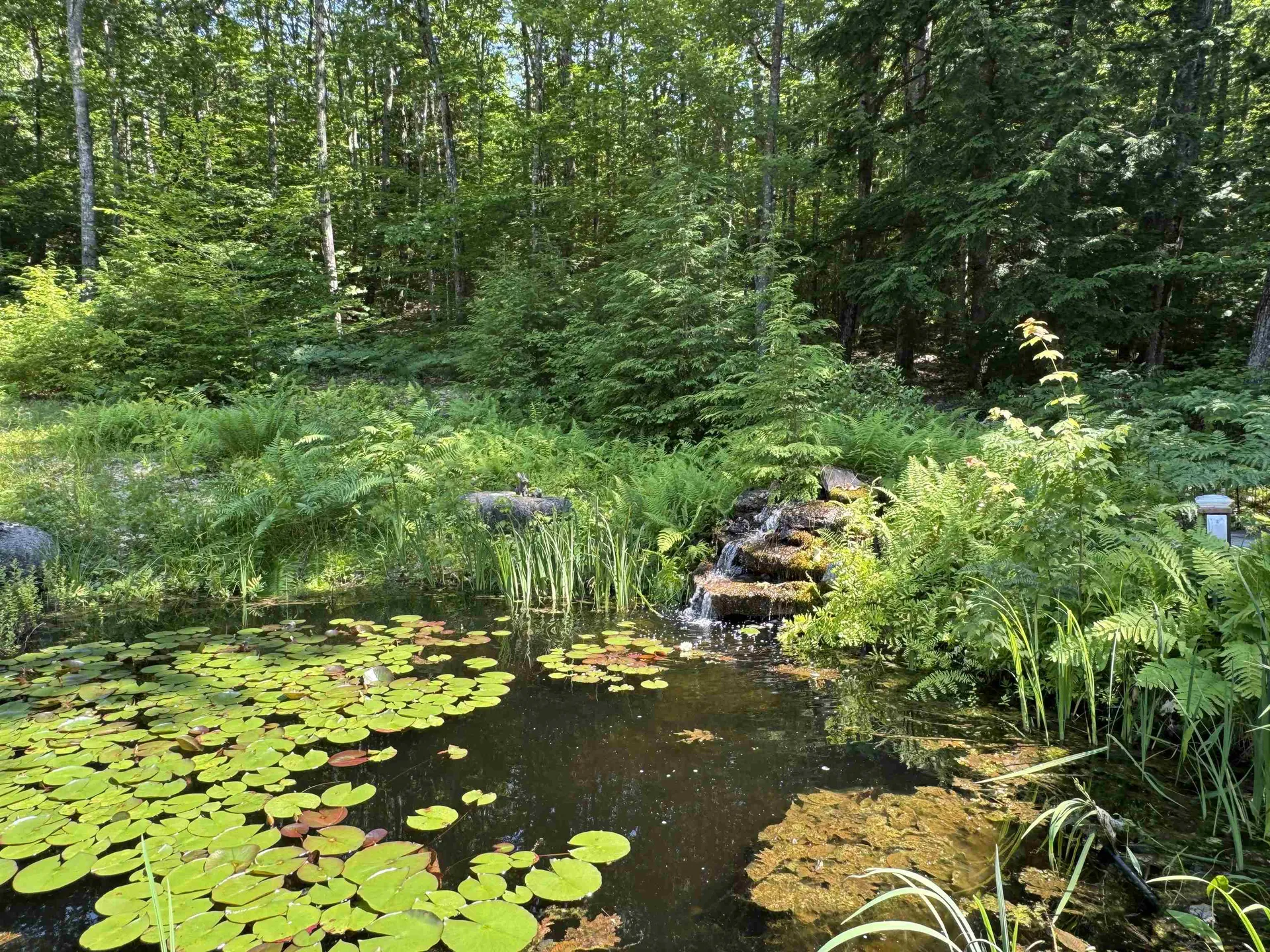 107 Blake Hill Road Ossipee NH 03814