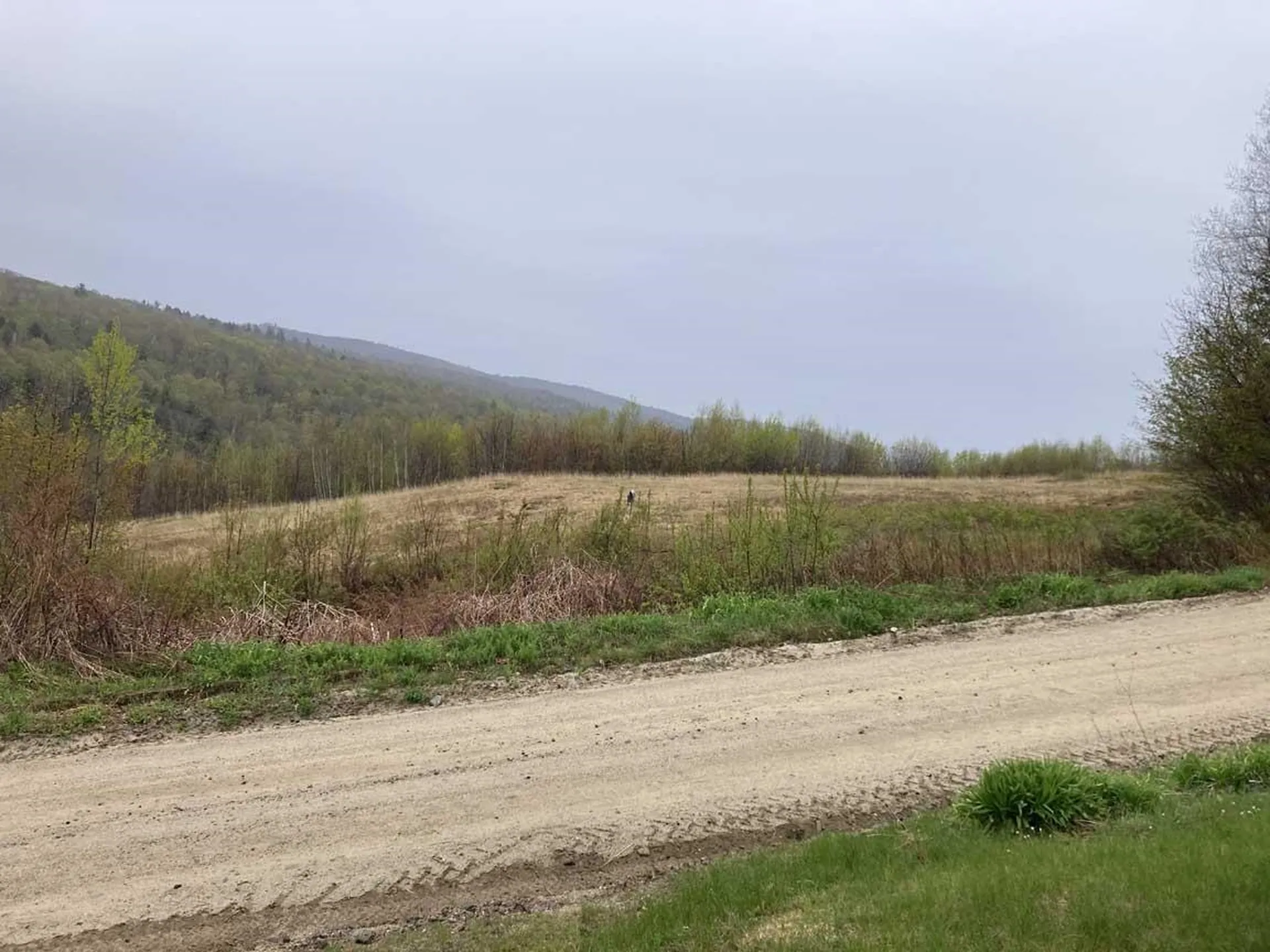 124 Brock Hill Road Bridgewater NH 03222