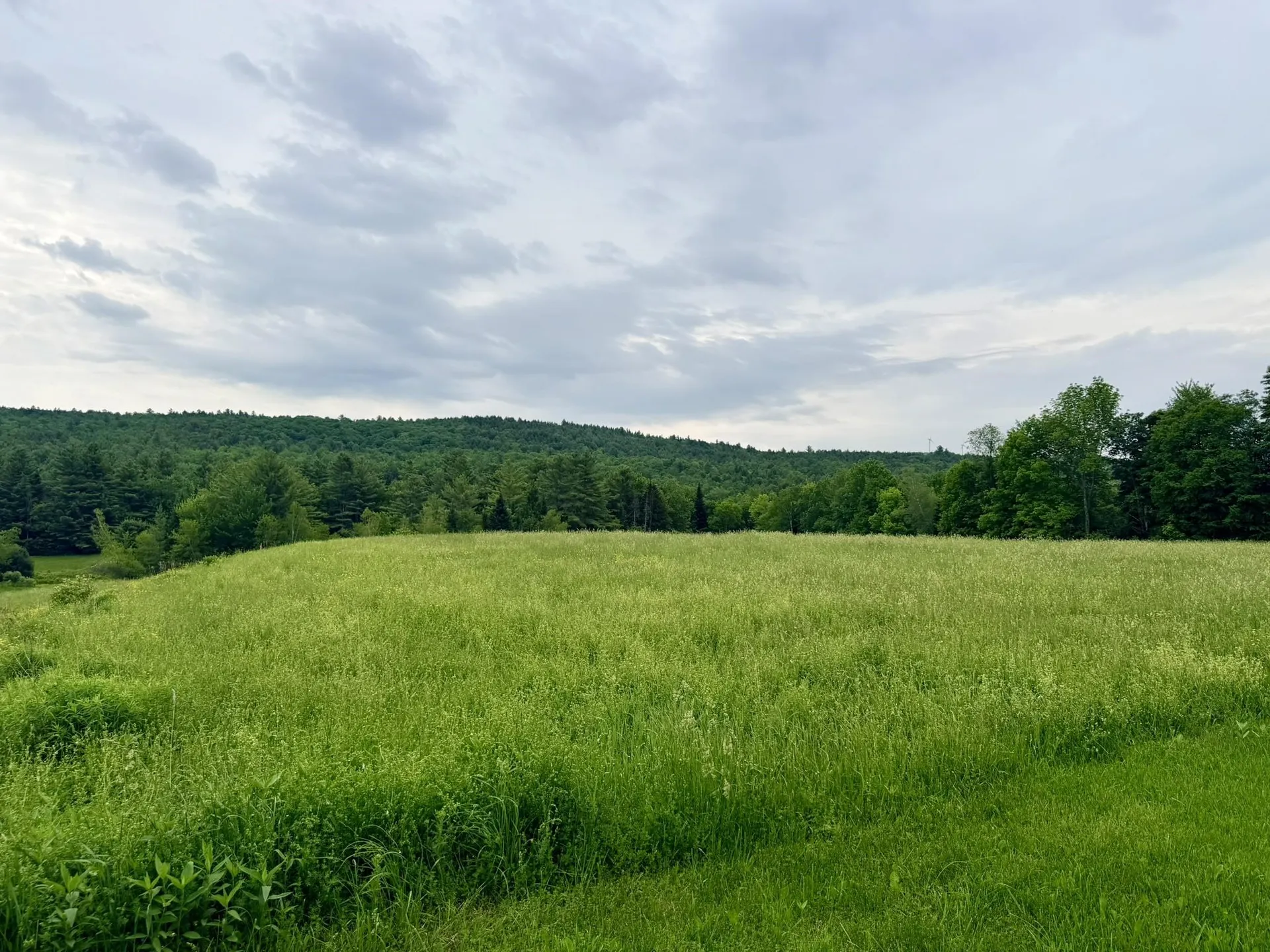 Tbd Route 100 Lowell VT 05847