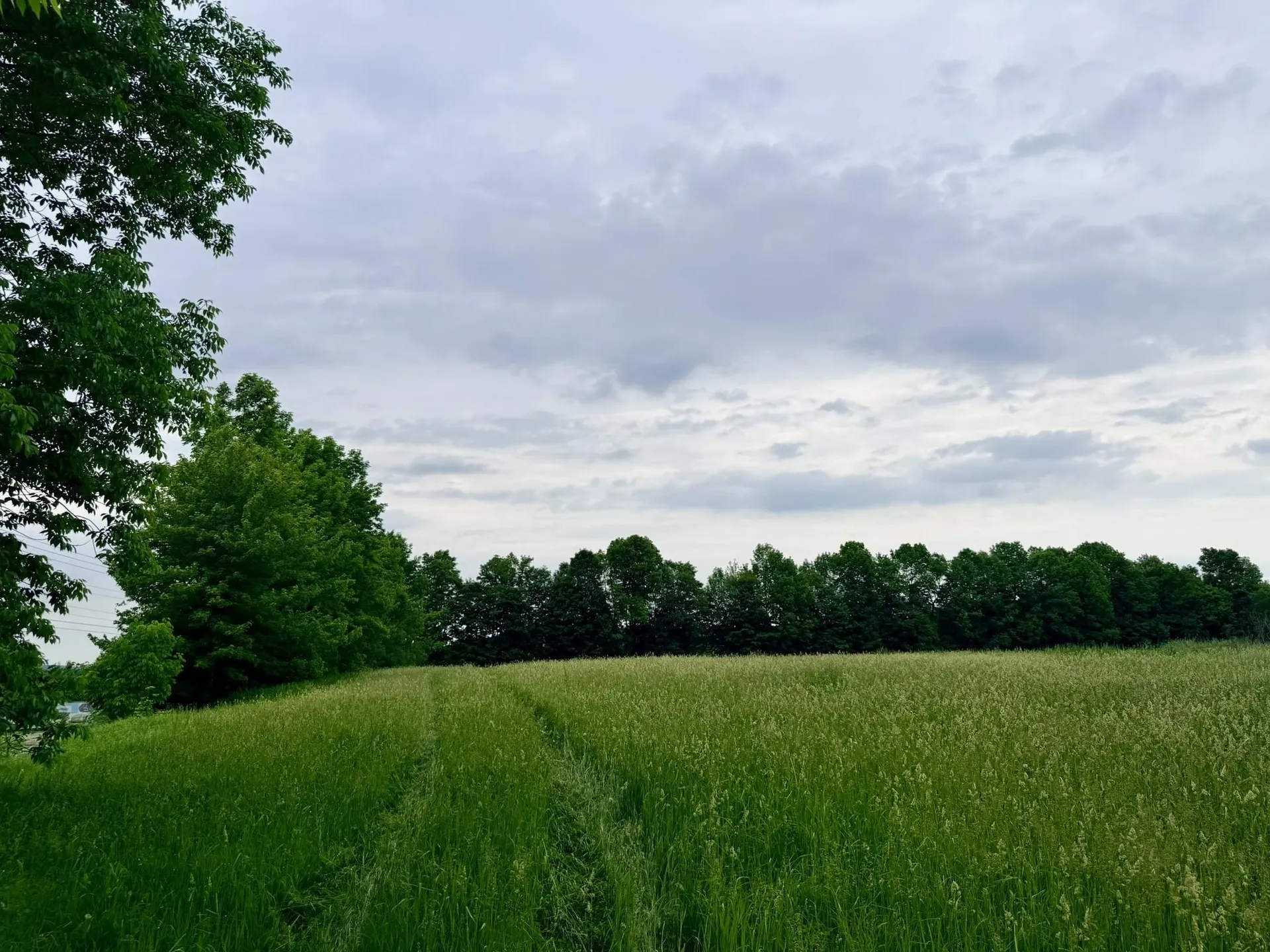 Tbd Route 100 Lowell VT 05847