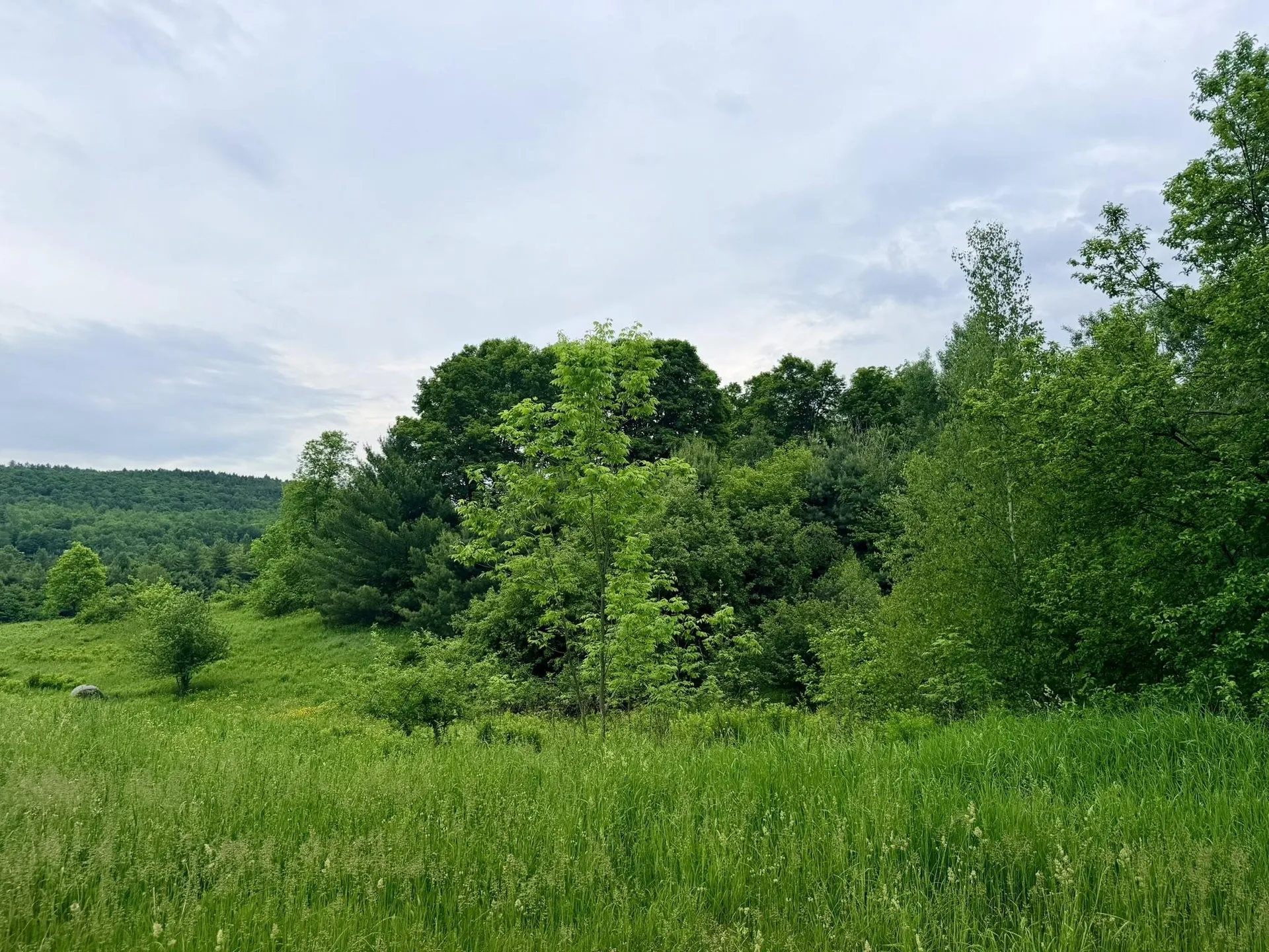 Tbd Route 100 Lowell VT 05847