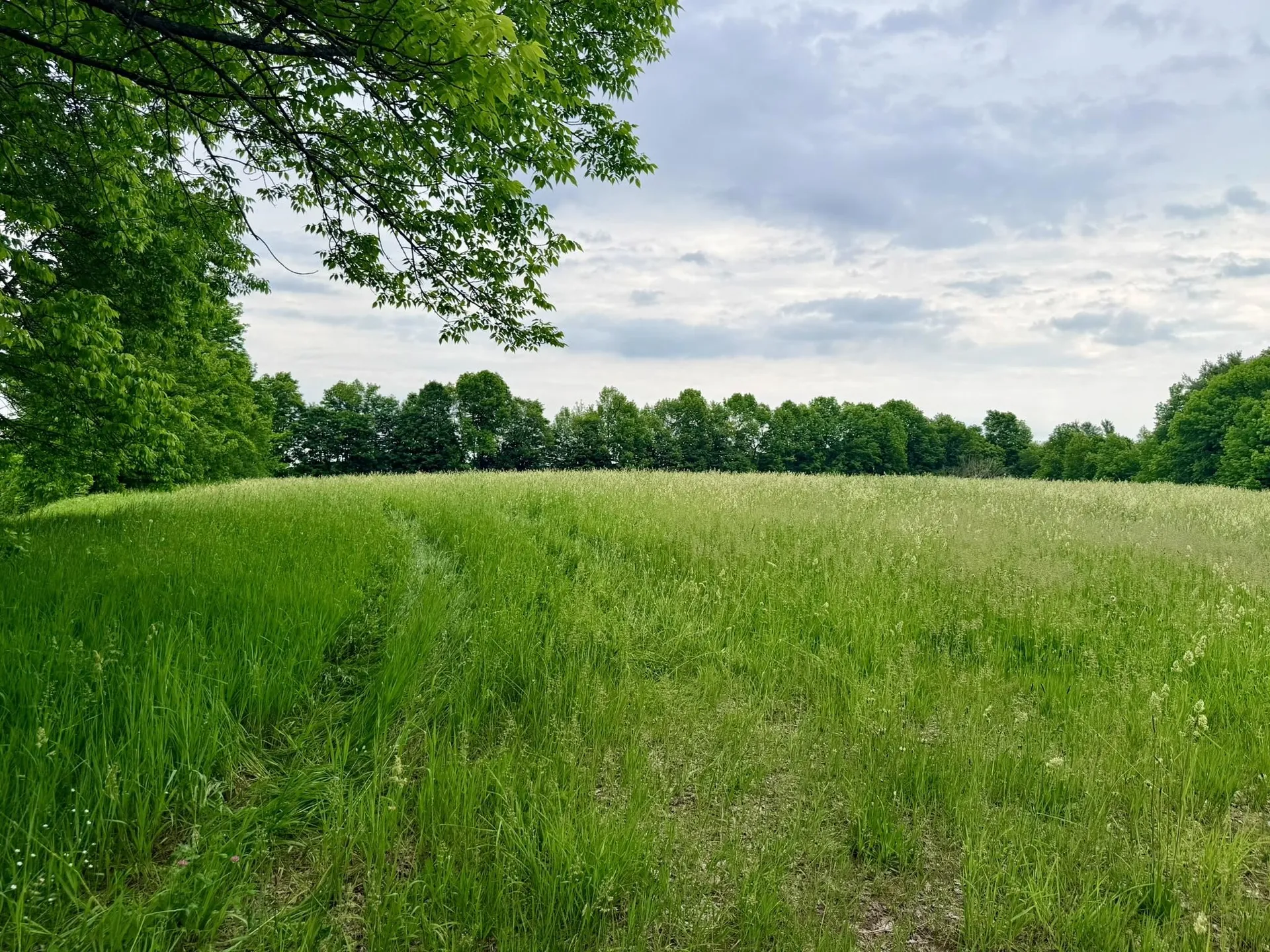 Tbd Route 100 Lowell VT 05847