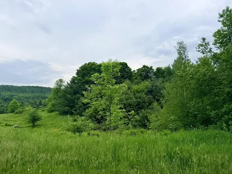Tbd Route 100 Lowell VT 05847