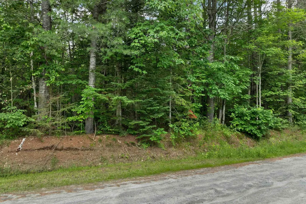 231-70-1 Crane Road Whitefield NH 03598