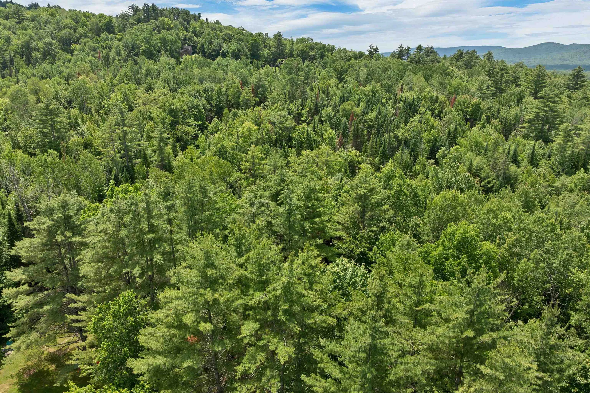 231-70-1 Crane Road Whitefield NH 03598