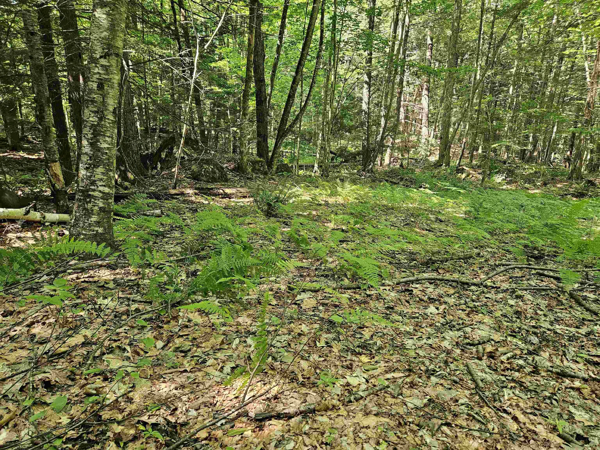 234 Old Cheshire Turnpike Walpole NH 03608