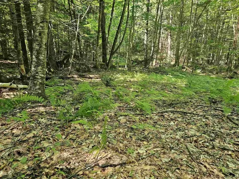 234 Old Cheshire Turnpike Walpole NH 03608
