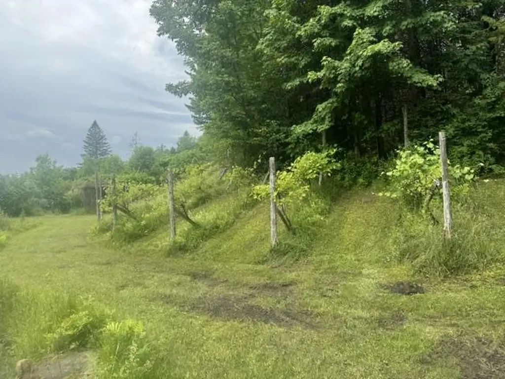 629 South Craftsbury Road Craftsbury VT 05826