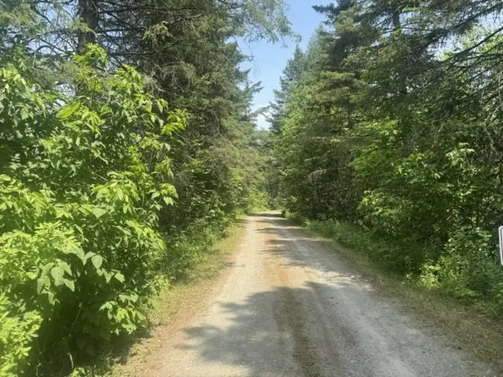 629 South Craftsbury Road Craftsbury VT 05826