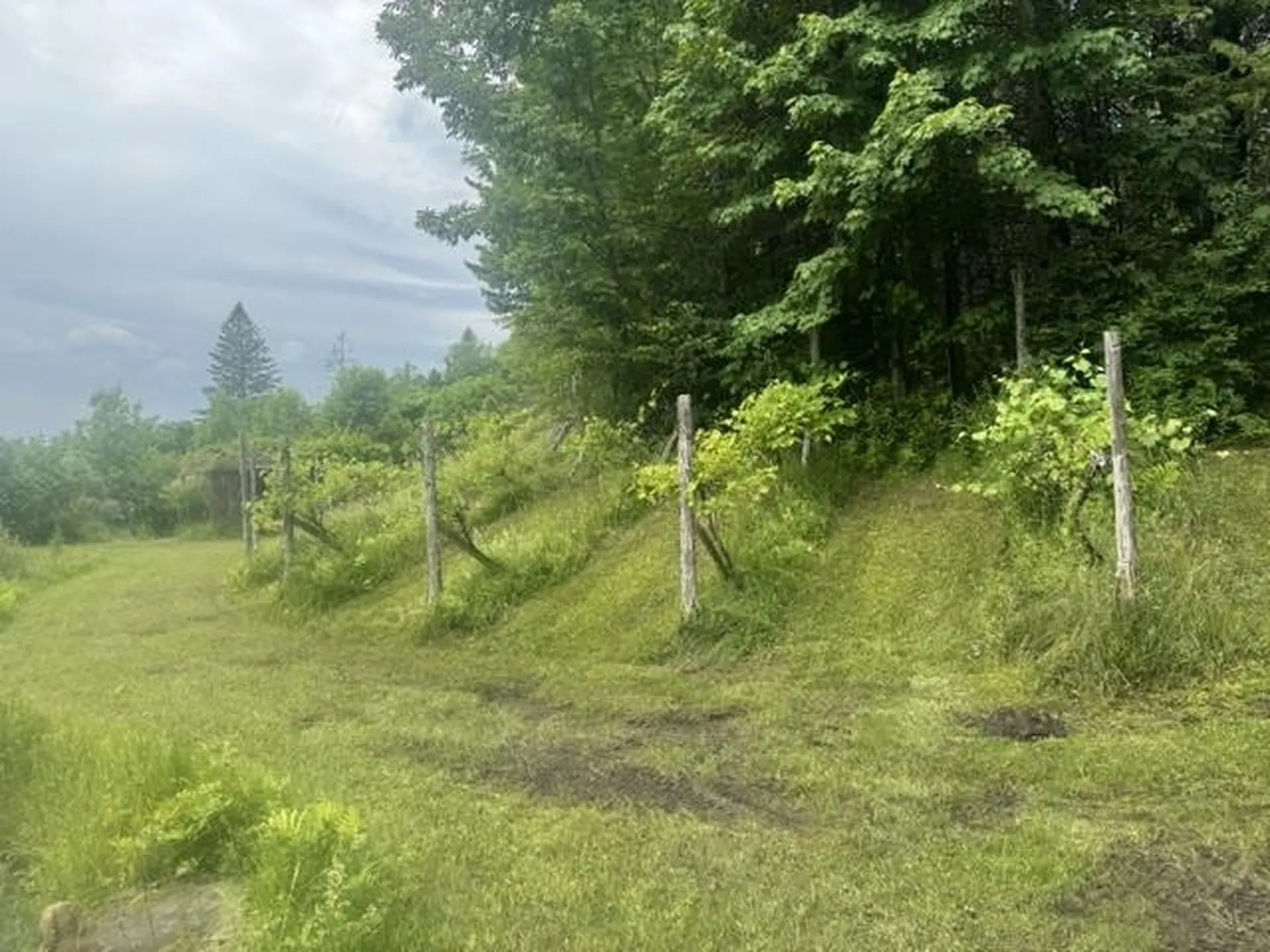 629 South Craftsbury Road Craftsbury VT 05826