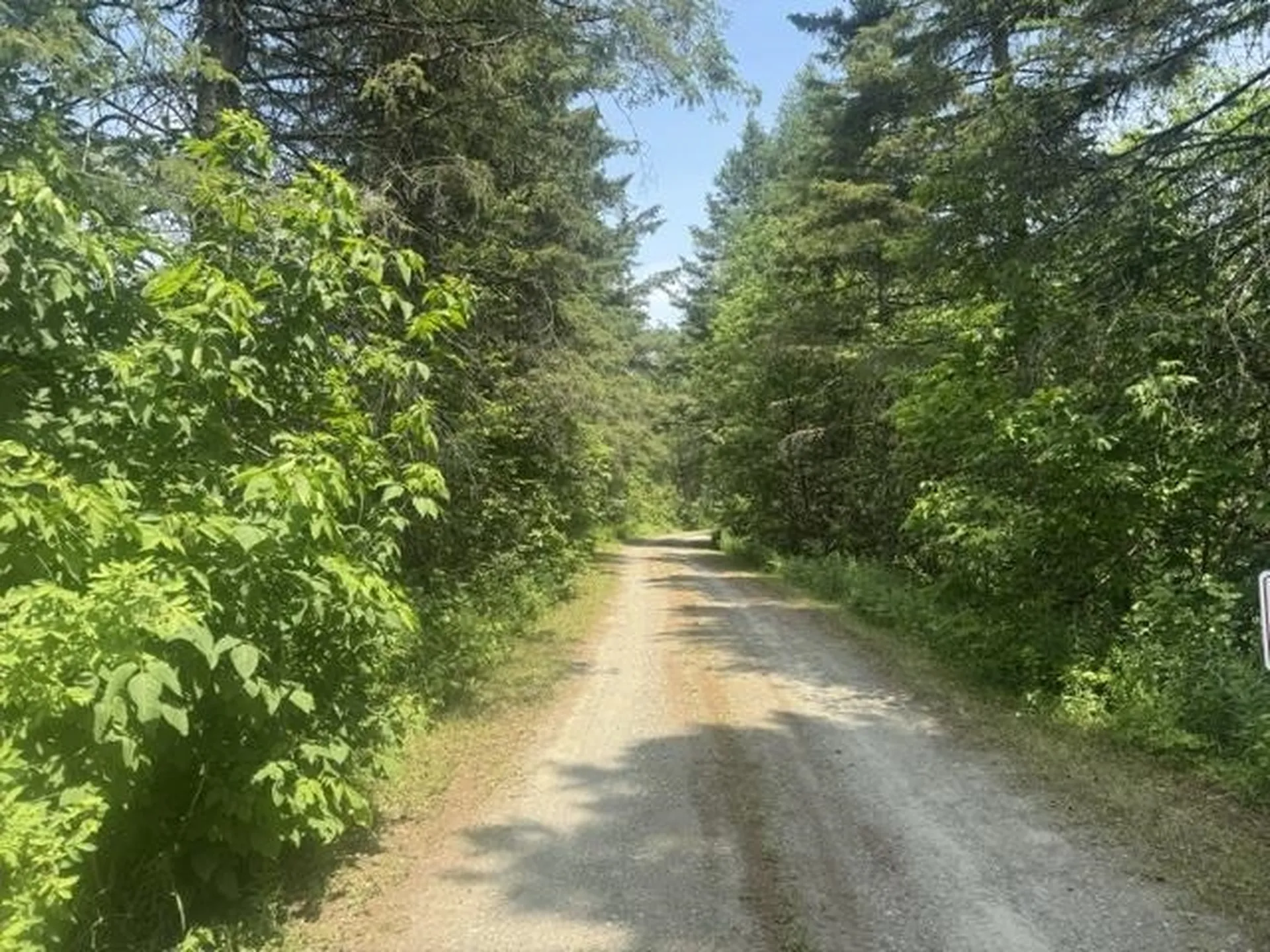 629 South Craftsbury Road Craftsbury VT 05826
