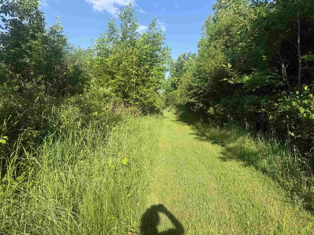 000 Maple Lot #2 Street Waltham VT 05491