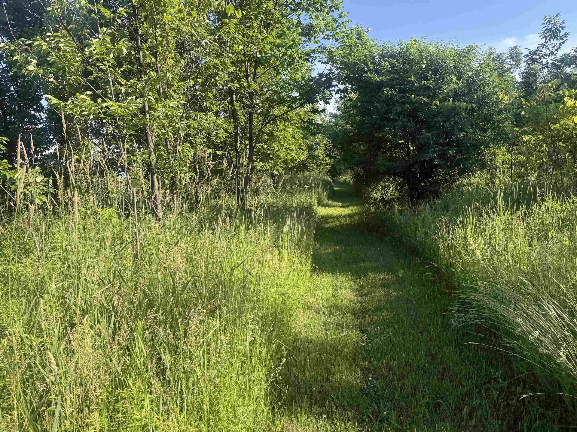 000 Maple Lot #2 Street Waltham VT 05491