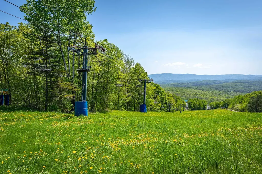 31 Farm Road Peru VT 05152