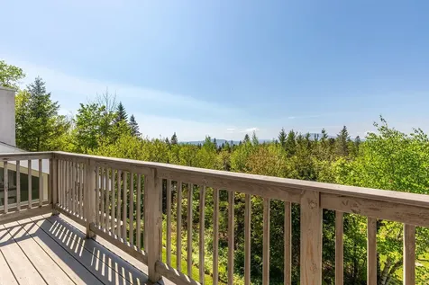 31 Farm Road Peru VT 05152