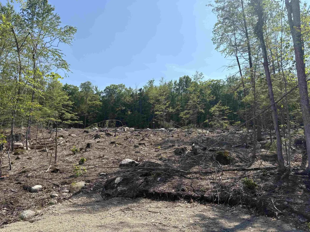 10 Sugarloaf Drive Ossipee NH 03814