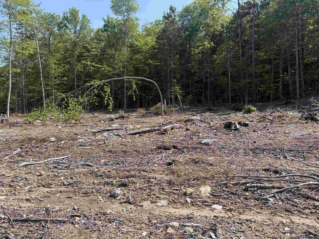 10 Sugarloaf Drive Ossipee NH 03814