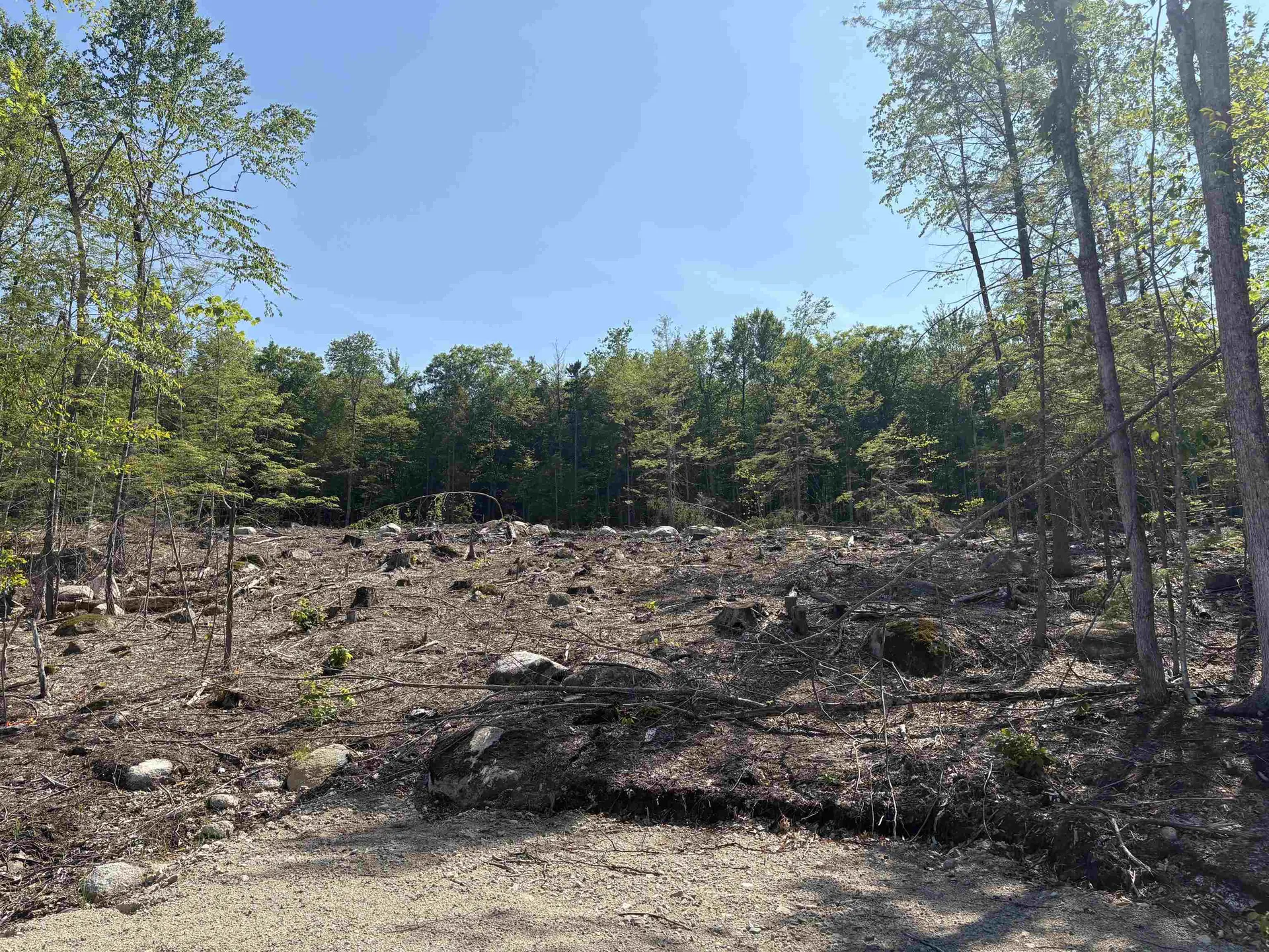 10 Sugarloaf Drive Ossipee NH 03814