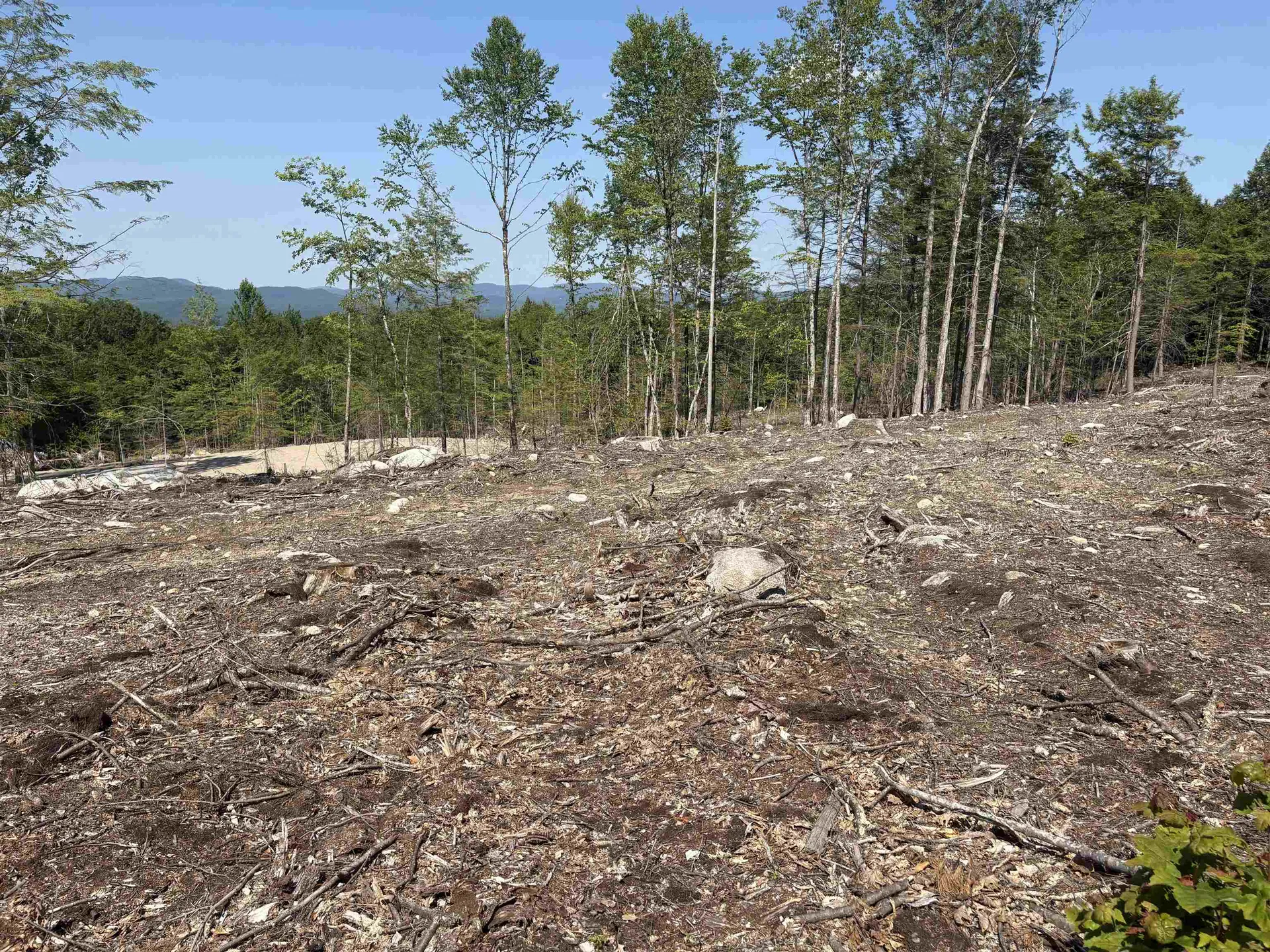 10 Sugarloaf Drive Ossipee NH 03814