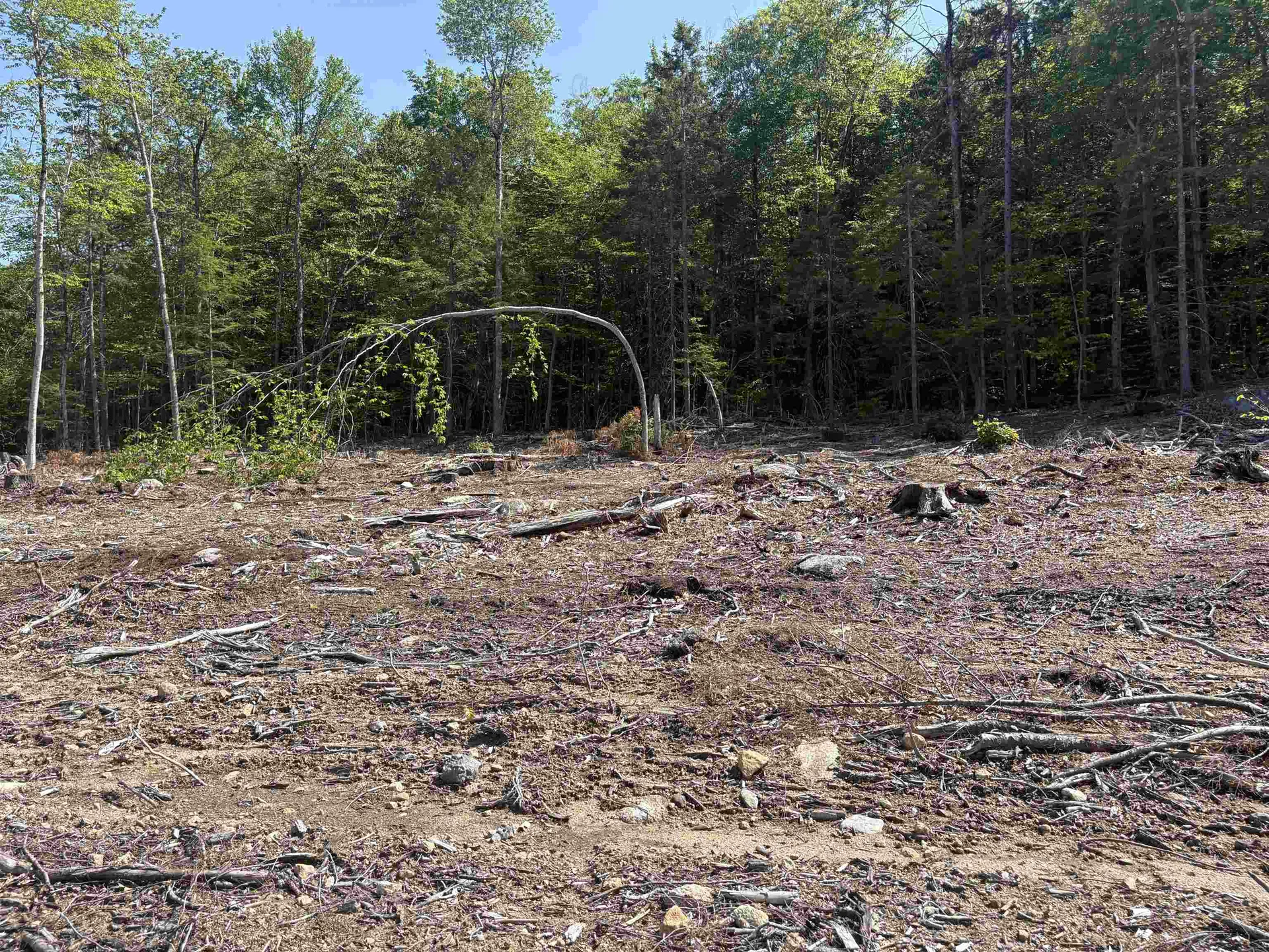 10 Sugarloaf Drive Ossipee NH 03814