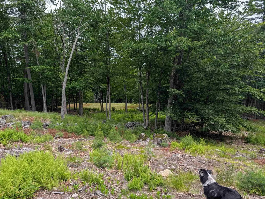 70 High Ridge Road Moultonborough NH 03254