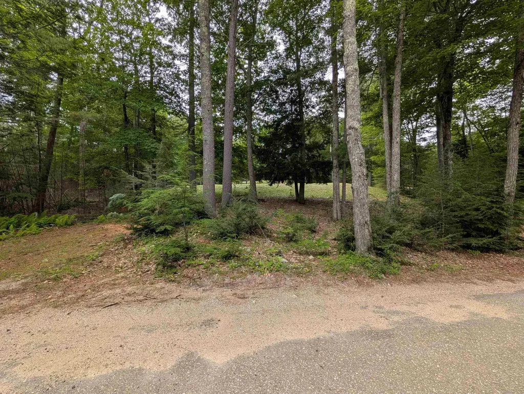 70 High Ridge Road Moultonborough NH 03254