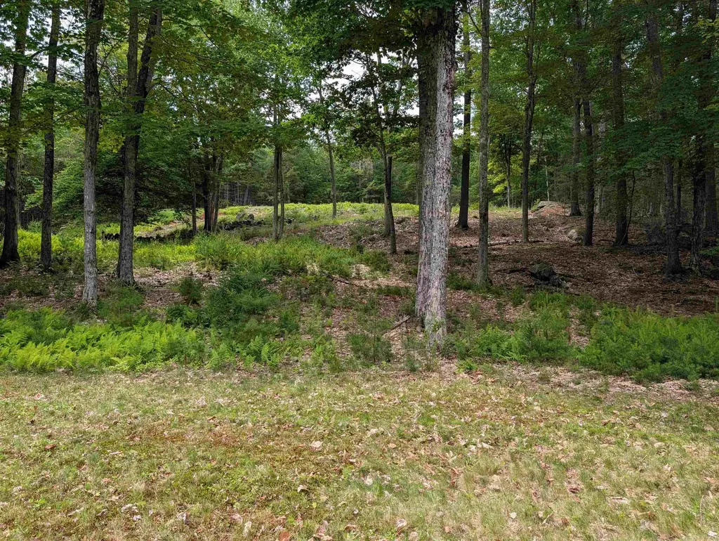 70 High Ridge Road Moultonborough NH 03254