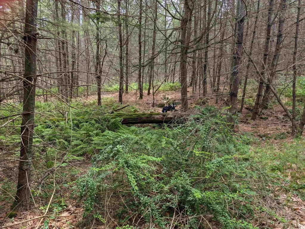 70 High Ridge Road Moultonborough NH 03254