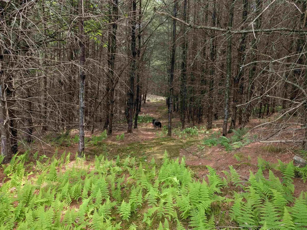 70 High Ridge Road Moultonborough NH 03254