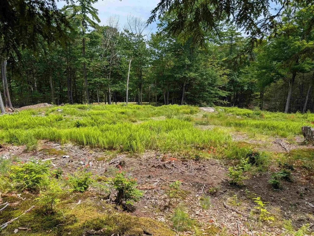 70 High Ridge Road Moultonborough NH 03254