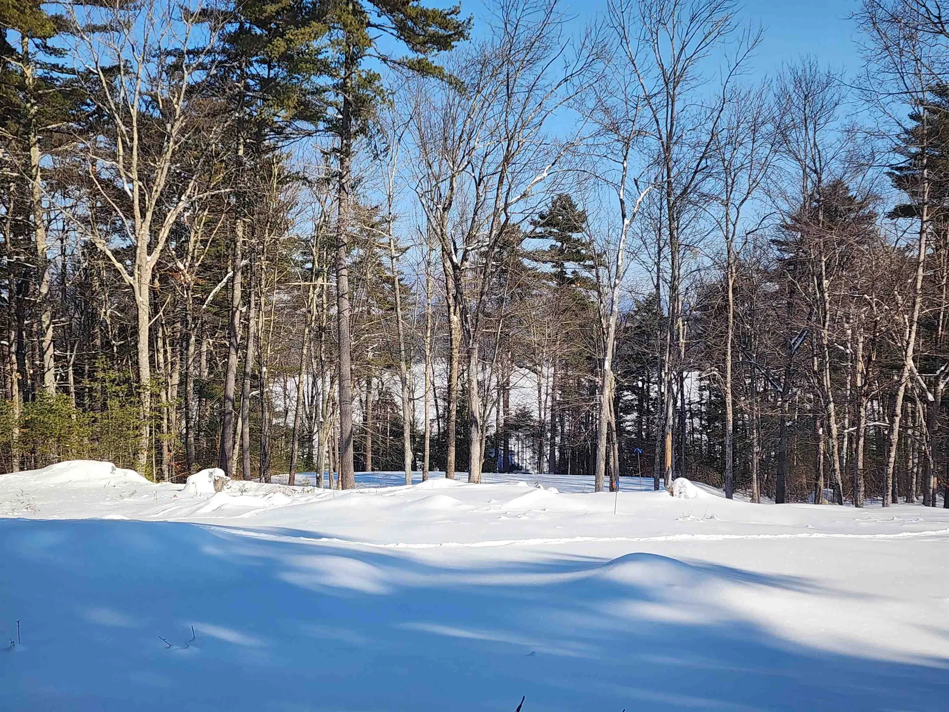 70 High Ridge Road Moultonborough NH 03254