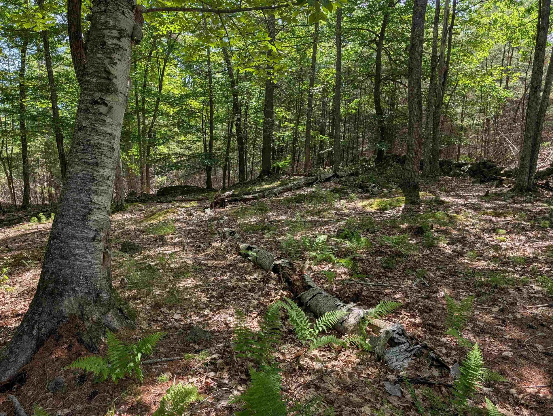 70 High Ridge Road Moultonborough NH 03254